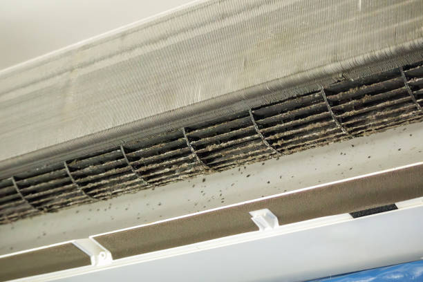 Best Local Air Duct Cleaning Services  in Springdale, MD